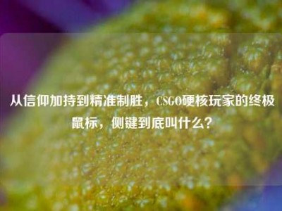 从信仰加持到精准制胜，CSGO硬核玩家的终极鼠标，侧键到底叫什么？