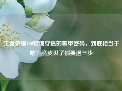 王者荣耀100物理穿透的破甲密码，到底相当于啥？脆皮见了都要退三步