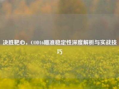 决胜靶心，COD16瞄准稳定性深度解析与实战技巧