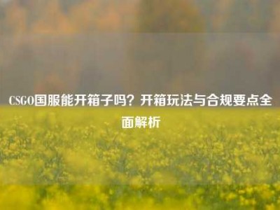 CSGO国服能开箱子吗？开箱玩法与合规要点全面解析