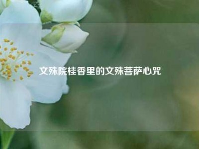 文殊院桂香里的文殊菩萨心咒