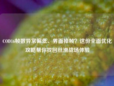 COD16帧数异常偏低、界面掉帧？这份全面优化攻略帮你找回丝滑战场体验