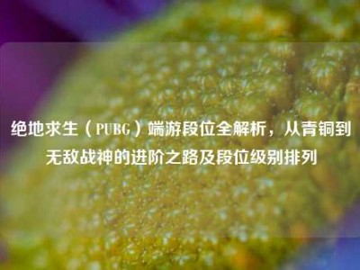 绝地求生（PUBG）端游段位全解析，从青铜到无敌战神的进阶之路及段位级别排列
