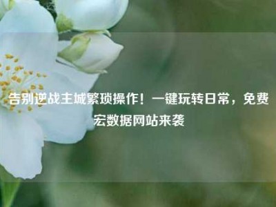 告别逆战主城繁琐操作！一键玩转日常，免费宏数据网站来袭