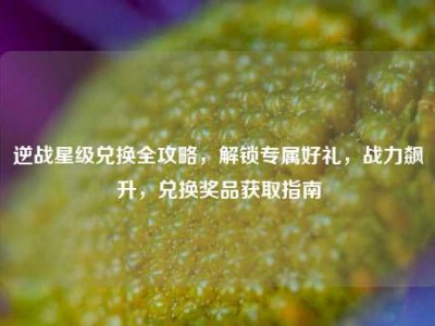 逆战星级兑换全攻略，解锁专属好礼，战力飙升，兑换奖品获取指南