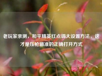 老玩家亲测，和平精英红点调大设置方法，这才是压枪瞄准的正确打开方式