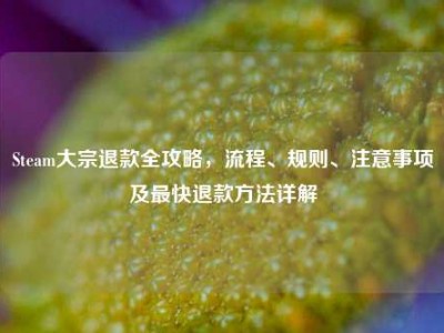 Steam大宗退款全攻略，流程、规则、注意事项及最快退款方法详解