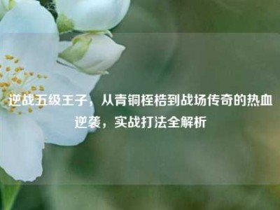 逆战五级王子，从青铜桎梏到战场传奇的热血逆袭，实战打法全解析