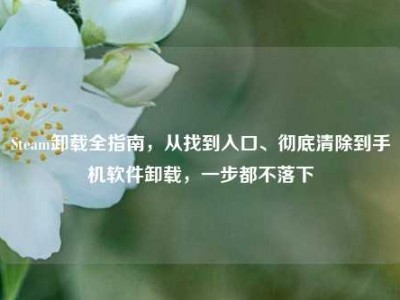 Steam卸载全指南，从找到入口、彻底清除到手机软件卸载，一步都不落下