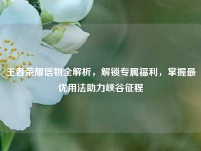 王者荣耀信物全解析，解锁专属福利，掌握最优用法助力峡谷征程