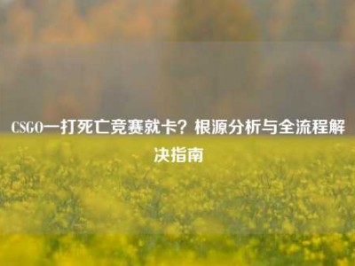 CSGO一打死亡竞赛就卡？根源分析与全流程解决指南