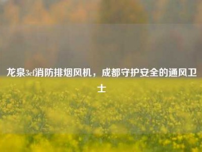 龙泉3cf消防排烟风机，成都守护安全的通风卫士