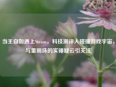 当王自如遇上Steam，科技测评人碰撞游戏宇宙，与董明珠的实锤疑云引关注