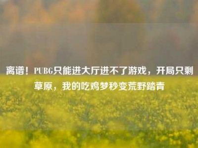 离谱！PUBG只能进大厅进不了游戏，开局只剩草原，我的吃鸡梦秒变荒野踏青