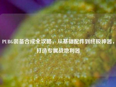 PUBG装备合成全攻略，从基础配件到终极神器，打造专属战地利器