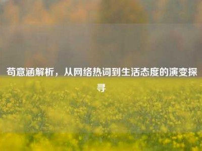 苟意涵解析，从网络热词到生活态度的演变探寻