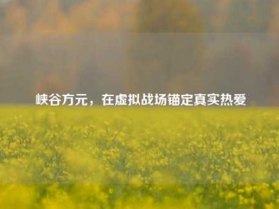 峡谷方元，在虚拟战场锚定真实热爱
