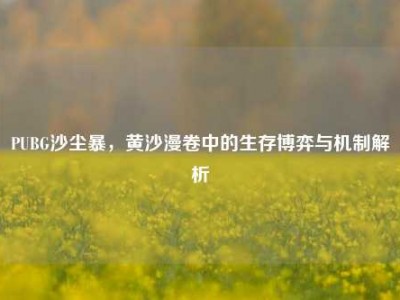 PUBG沙尘暴，黄沙漫卷中的生存博弈与机制解析