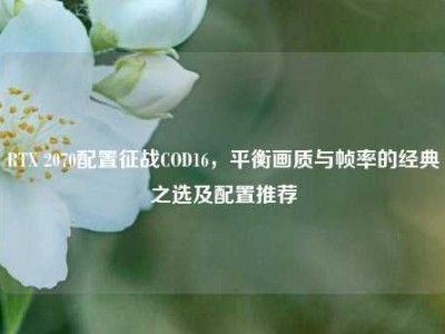 RTX 2070配置征战COD16，平衡画质与帧率的经典之选及配置推荐
