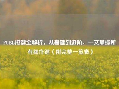 PUBG按键全解析，从基础到进阶，一文掌握所有操作键（附完整一览表）