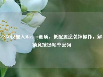 CSGO汉堡人Mercury画质，低配置逆袭神操作，解锁竞技场帧率密码