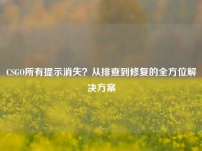 CSGO所有提示消失？从排查到修复的全方位解决方案
