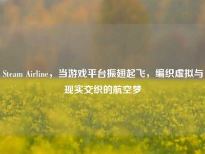 Steam Airline，当游戏平台振翅起飞，编织虚拟与现实交织的航空梦
