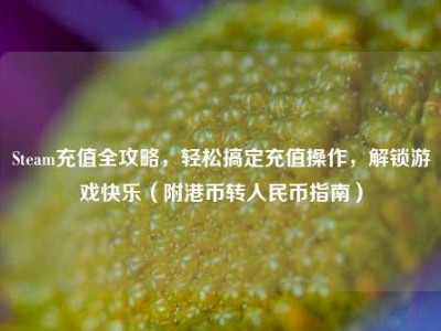 Steam充值全攻略，轻松搞定充值操作，解锁游戏快乐（附港币转人民币指南）