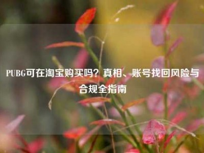 PUBG可在淘宝购买吗？真相、账号找回风险与合规全指南