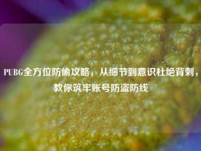 PUBG全方位防偷攻略，从细节到意识杜绝背刺，教你筑牢账号防盗防线
