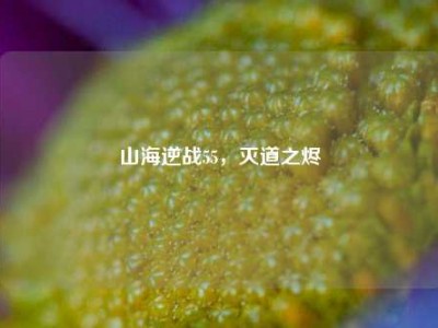 山海逆战55，灭道之烬