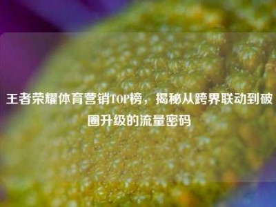 王者荣耀体育营销TOP榜，揭秘从跨界联动到破圈升级的流量密码