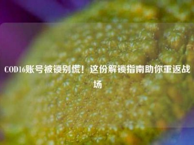 COD16账号被锁别慌！这份解锁指南助你重返战场