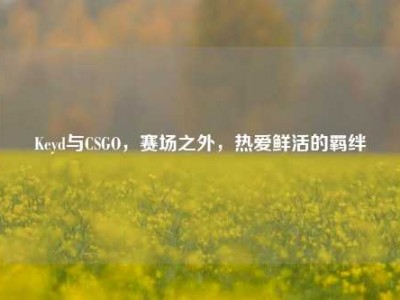 Keyd与CSGO，赛场之外，热爱鲜活的羁绊
