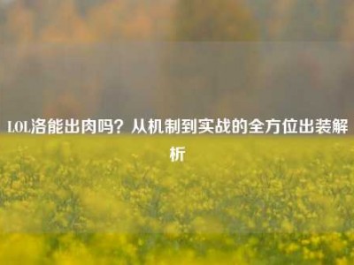 LOL洛能出肉吗？从机制到实战的全方位出装解析