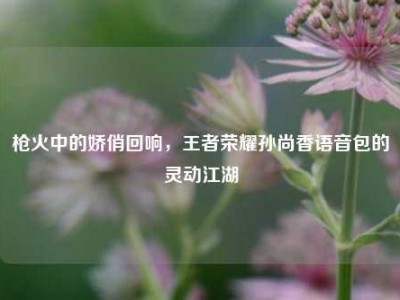 枪火中的娇俏回响，王者荣耀孙尚香语音包的灵动江湖