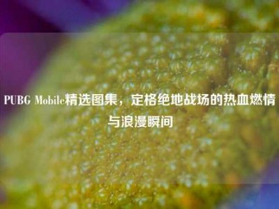 PUBG Mobile精选图集，定格绝地战场的热血燃情与浪漫瞬间
