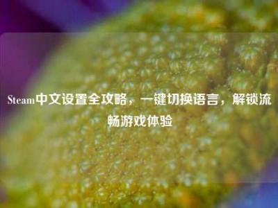 Steam中文设置全攻略，一键切换语言，解锁流畅游戏体验