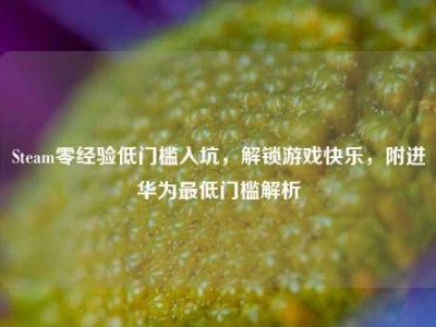 Steam零经验低门槛入坑，解锁游戏快乐，附进华为最低门槛解析