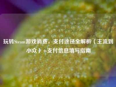 玩转Steam游戏消费，支付途径全解析（主流到小众）+支付信息填写指南