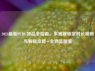 2023最新PUBG饰品全指南，多场景锁定时长规则与解锁攻略+全物品图鉴