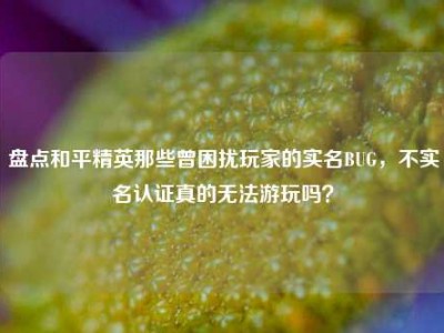 盘点和平精英那些曾困扰玩家的实名BUG，不实名认证真的无法游玩吗？
