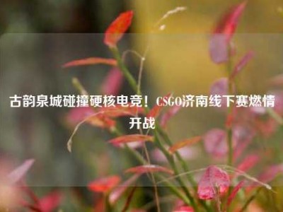 古韵泉城碰撞硬核电竞！CSGO济南线下赛燃情开战
