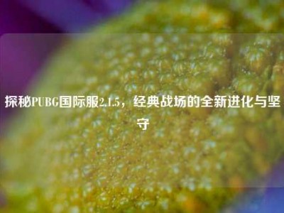 探秘PUBG国际服2.1.5，经典战场的全新进化与坚守