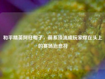 和平精英阿旺帽子，萌系顶流成玩家焊在头上的赛场治愈符