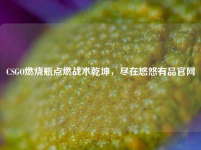 CSGO燃烧瓶点燃战术乾坤，尽在悠悠有品官网
