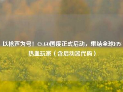 以枪声为号！CS:GO国度正式启动，集结全球FPS热血玩家（含启动器代码）