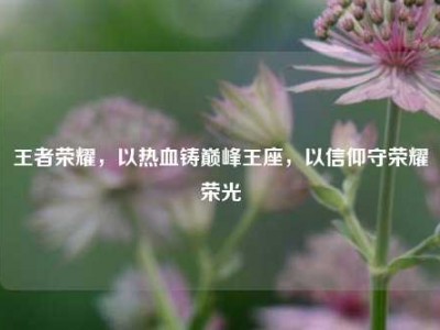 王者荣耀，以热血铸巅峰王座，以信仰守荣耀荣光