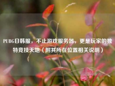 PUBG日韩服，不止游戏服务器，更是玩家的独特竞技天地（附其所在位置相关说明）