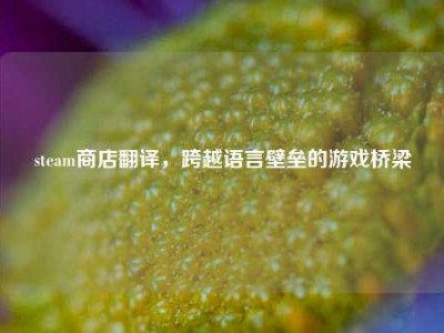 steam商店翻译，跨越语言壁垒的游戏桥梁